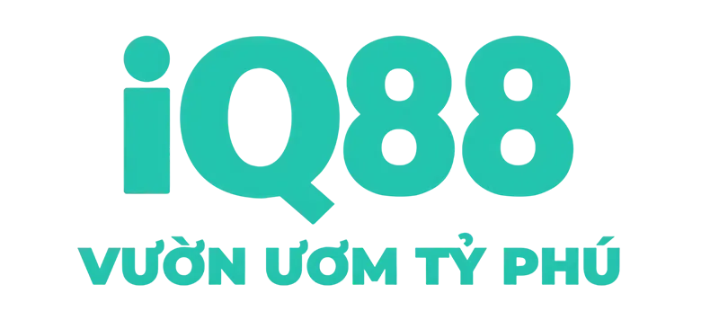 iq88city