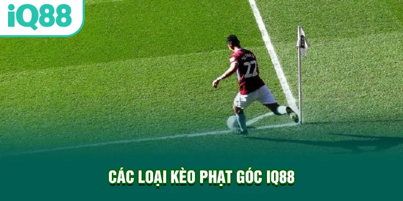 cac-loai-keo-phat-goc-iq88_10_11zon