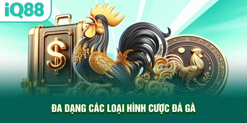 da-dang-cac-loai-hinh-cuoc-da-ga_24_11zon