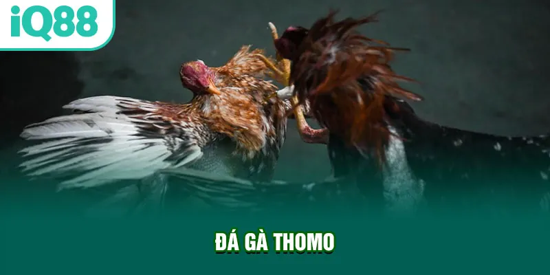 da-ga-thomo_27_11zon
